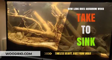 Aquarium Wood Sinking Time: Factors Affecting How Long It Takes to Submerge