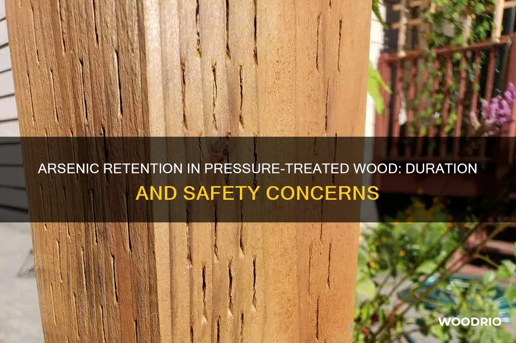 how long does arsenic stay in pressure treated wood