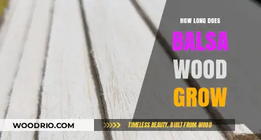 Understanding Balsa Wood Growth: Timeframe, Process, and Harvesting Insights