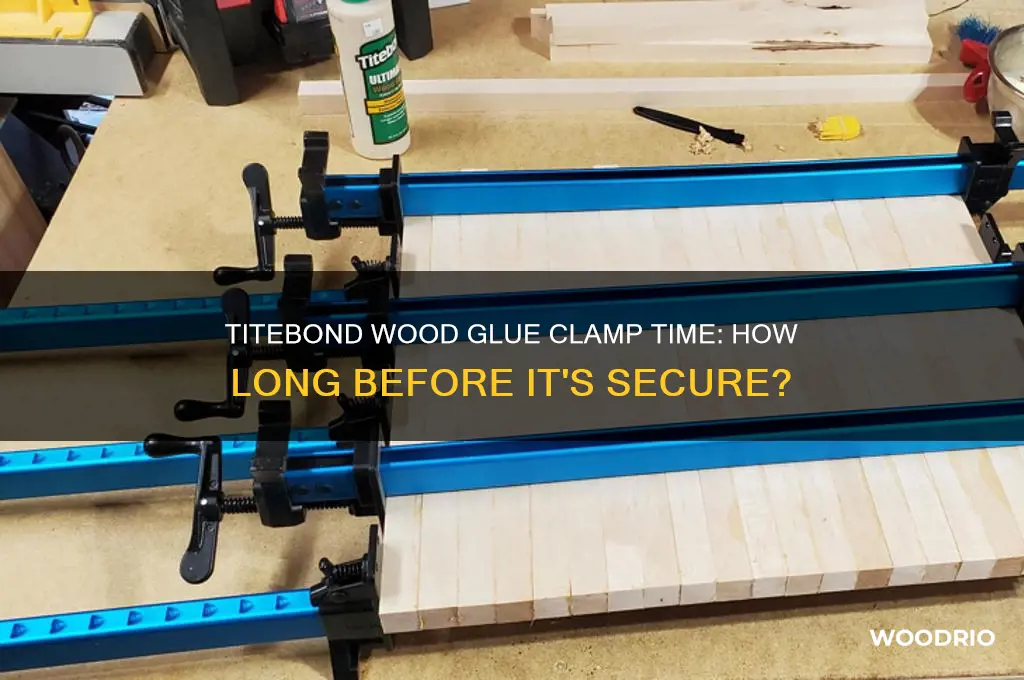 how long does before clamp titebond wood glue