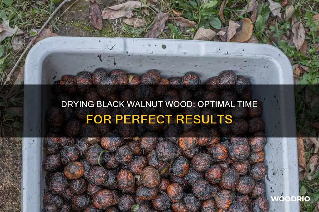how long does black walnut wood need to dry