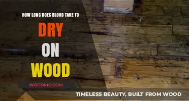 Blood Drying Time on Wood: Factors Affecting the Process and Duration