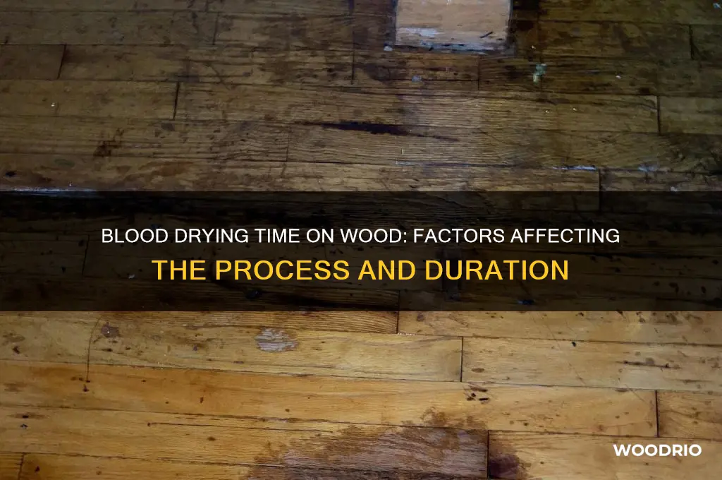 how long does blood take to dry on wood