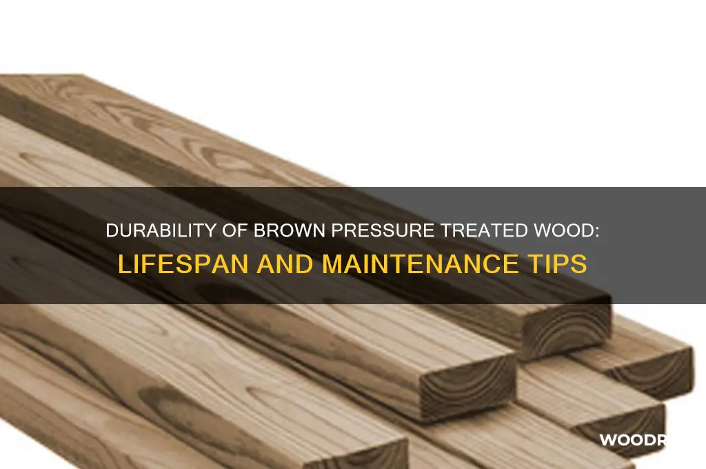 how long does brown pressure treated wood last