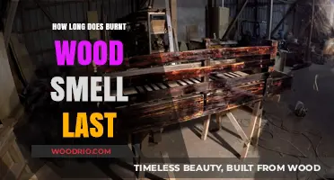 How Long Does Burnt Wood Smell Linger and How to Eliminate It