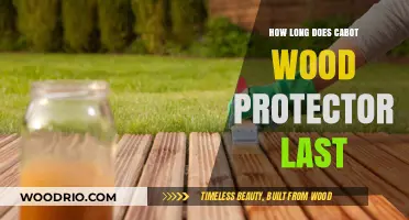 Cabot Wood Protector Durability: Longevity and Maintenance Tips Revealed