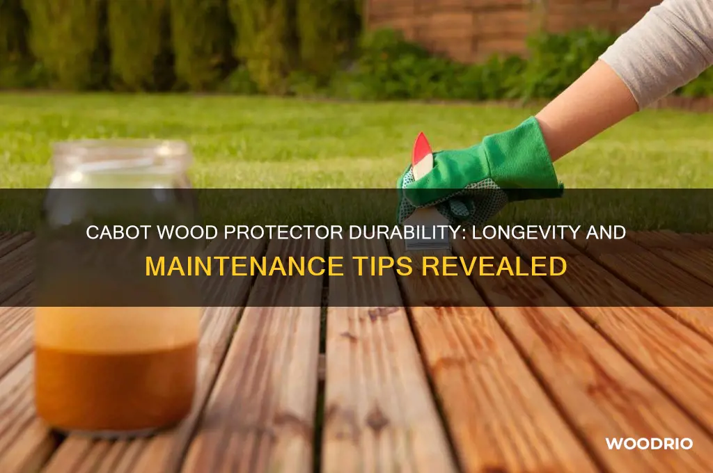 how long does cabot wood protector last