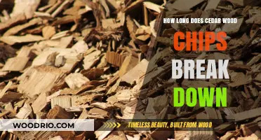 Cedar Wood Chips Decomposition: Breakdown Timeline and Factors Explained