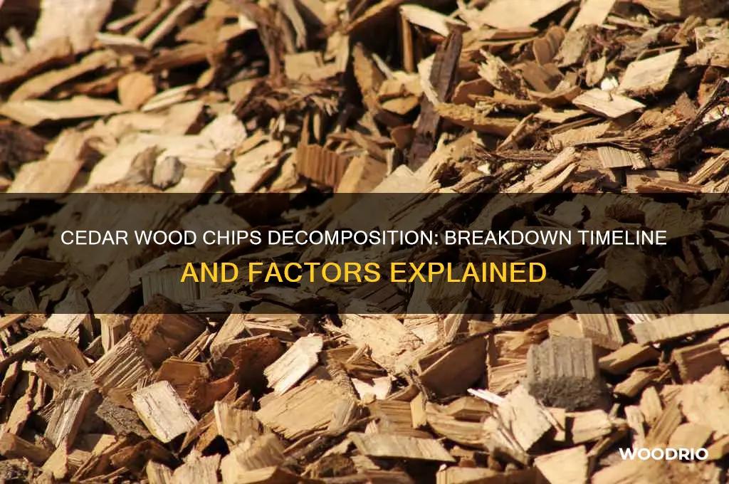 how long does cedar wood chips break down