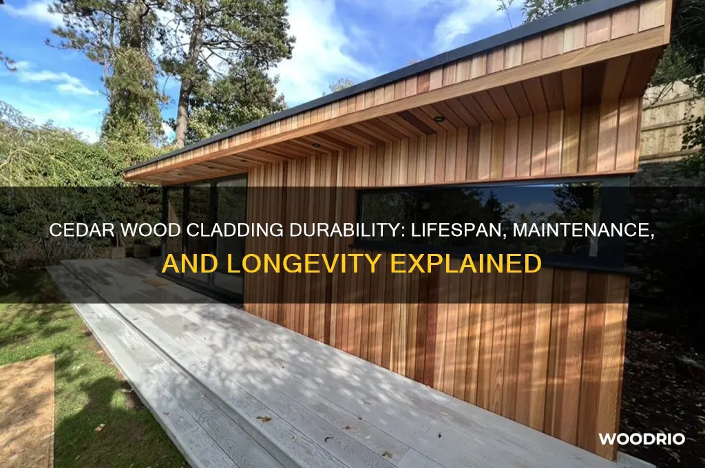 how long does cedar wood cladding last