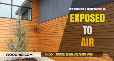 Cedar Wood Durability: Lifespan When Exposed to Air Explained