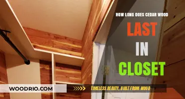 Cedar Wood Durability: How Long It Lasts in Your Closet