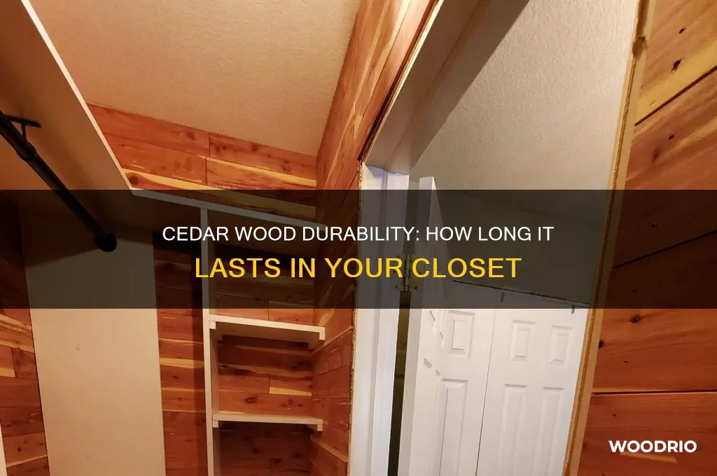 how long does cedar wood last in closet