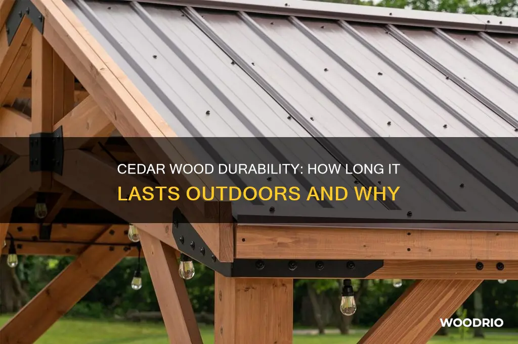 how long does cedar wood last outside