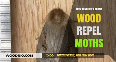 Cedar Wood's Moth-Repelling Power: Duration and Effectiveness Explained