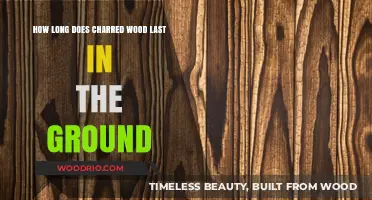 Durability of Charred Wood: Lifespan in Ground Explained