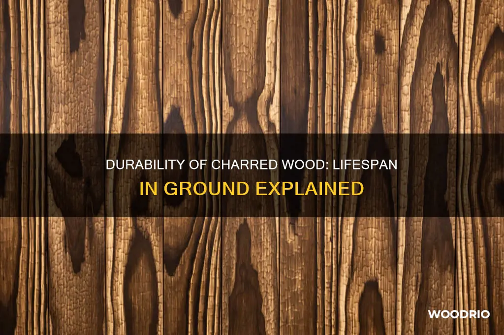 how long does charred wood last in the ground