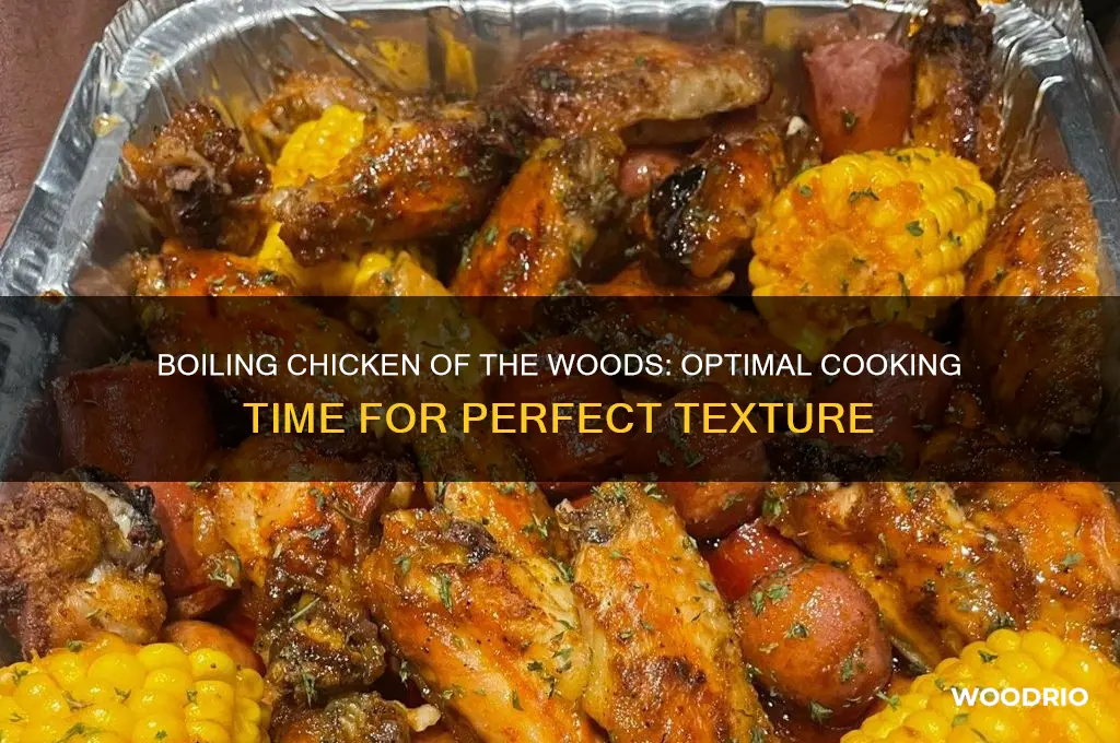 how long does chicken of the woods need to boil