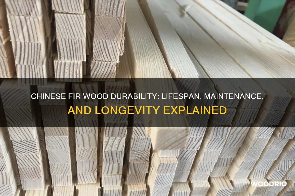 how long does chinese fir wood last
