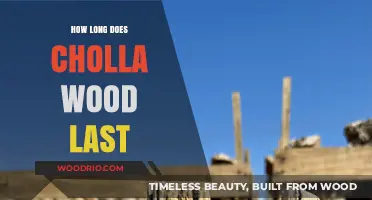 Cholla Wood Durability: Lifespan, Care, and Longevity Explained