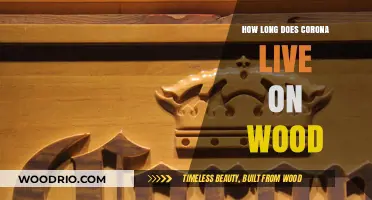 Corona on Wood: Understanding the Survival Duration of the Virus