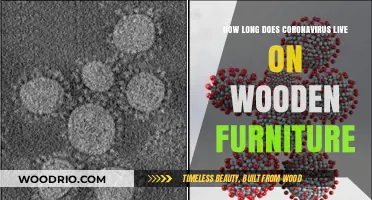 Coronavirus Survival on Wooden Furniture: Duration and Safety Tips