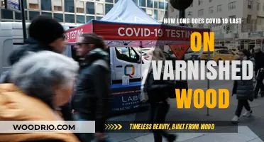 COVID-19 Survival Time on Varnished Wood Surfaces: What to Know