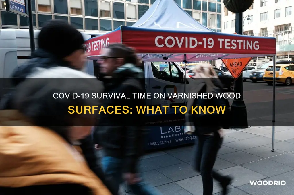 how long does covid 19 last on varnished wood