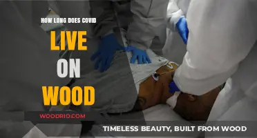How Long Does COVID Survive on Wood Surfaces?