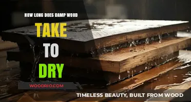 Drying Damp Wood: Understanding the Time It Takes to Dry Properly