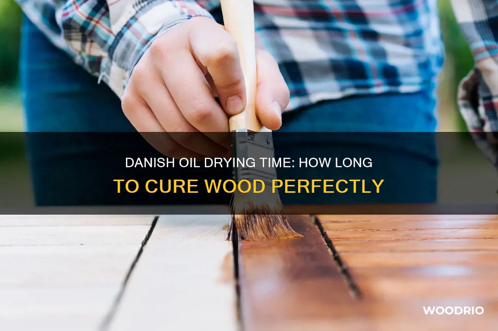 how long does danish oil take to dry on wood
