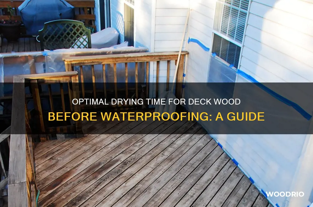 how long does deck wood need to dry before waterproofing