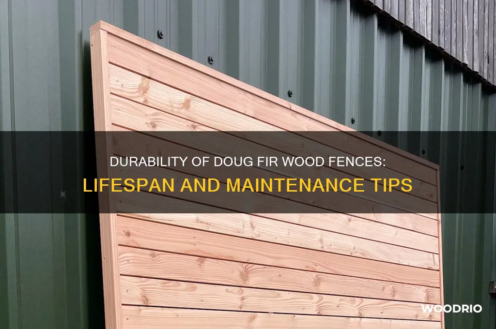 how long does doug fir wood fence last