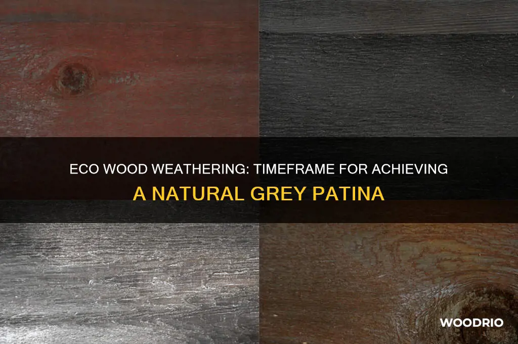 how long does eco wood take to turn grey