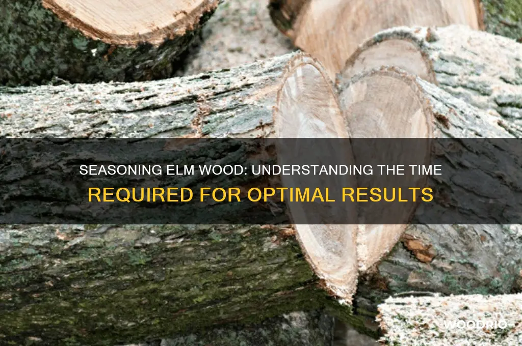 how long does elm wood take to season