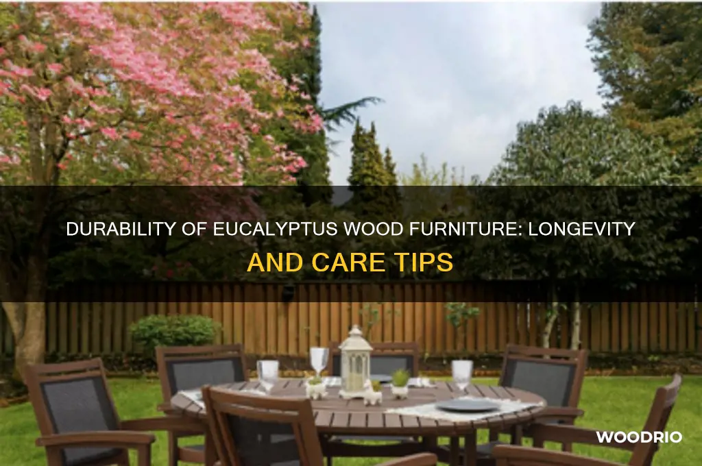 how long does eucalyptus wood furniture last