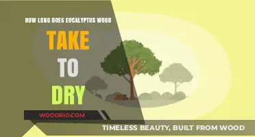Drying Eucalyptus Wood: Understanding the Optimal Time for Perfect Results