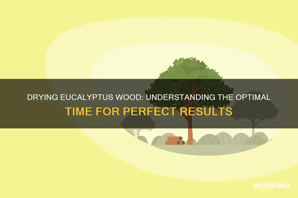how long does eucalyptus wood take to dry