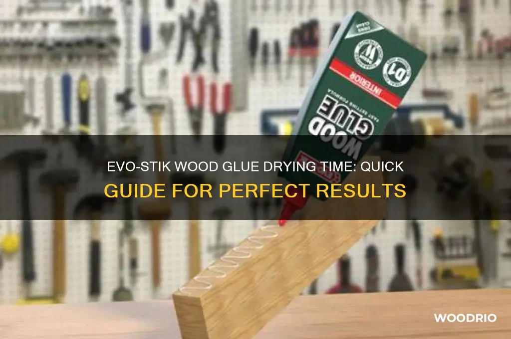 how long does evo stik wood glue take to dry
