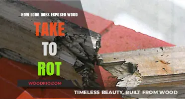 Exposed Wood Decay Timeline: Factors Affecting Rotting Process and Prevention