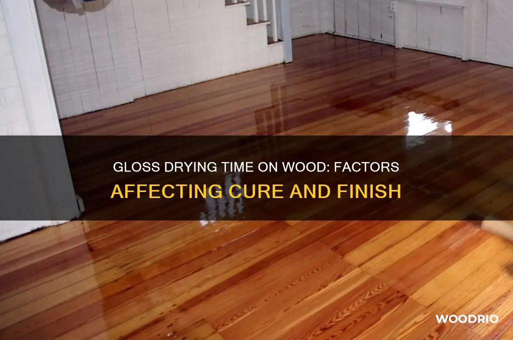 how long does gloss take to dry on wood