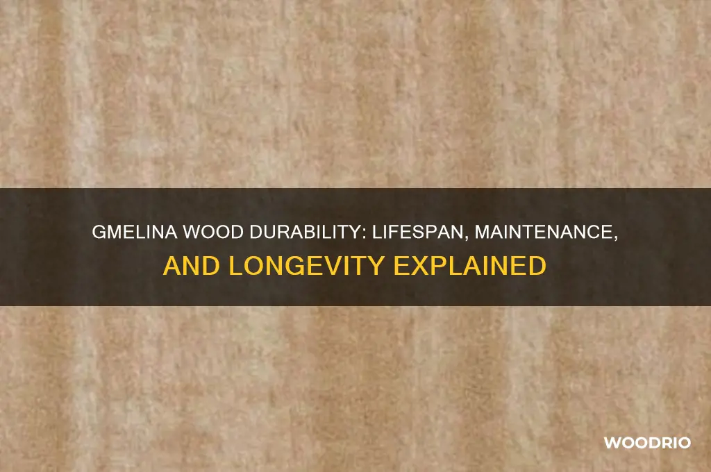 how long does gmelina wood last