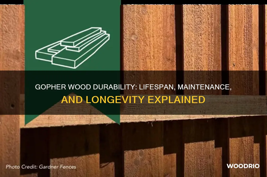 how long does gopher wood last