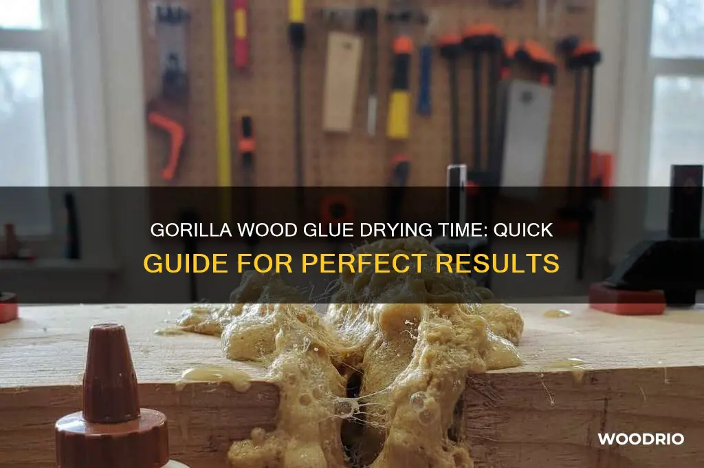 how long does gorilla wood glue take to dry