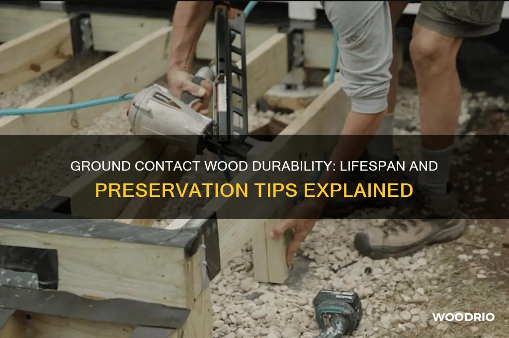how long does ground contact wood last