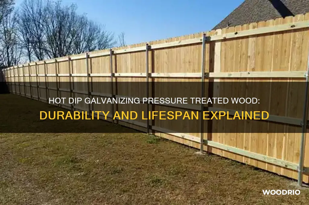 how long does hot dip galvanizing pressure treated wood last