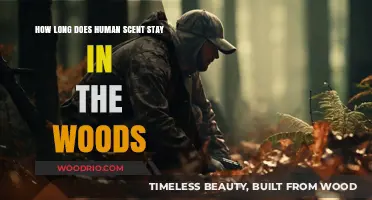 How Long Does Human Scent Linger in the Woods?