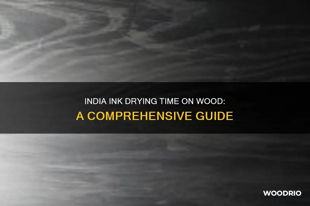 how long does india ink take to dry on wood