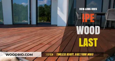 Ipe Wood Durability: Lifespan, Maintenance, and Longevity Explained