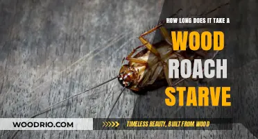 Wood Roach Starvation Timeline: How Long Can They Survive Without Food?